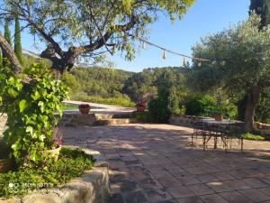 Naturlandskabet i nærheden af lejligheden + 11 billeder