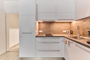 Kuchyň nebo kuchyňský kout v ubytování Apartmány Elite - Frištenského