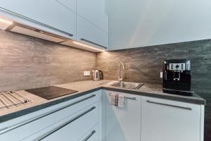 Kuchyň nebo kuchyňský kout v ubytování Apartmány Elite - Frištenského + 8 fotografií