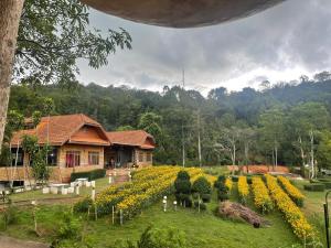 Ban Tha KupMJ Gargen View เรือนหลวงรีสอร์ท的房子前的花田