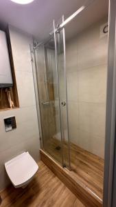 a shower stall in a bathroom with a toilet at Luxe on Gogol street in Karagandy