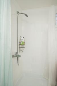 a shower in a bathroom with a shower curtain at Kalesma Hilltop Apartment by A&D Properties in Porto Rafti