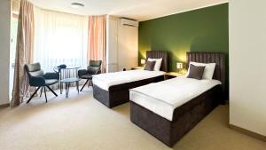 Gallery image of Studio Apartman Medonis in Pasuljište +14 photos