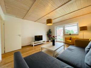 TV a/nebo společenská místnost v ubytování Dill Apartment Pleinfeld am Brombachsee I