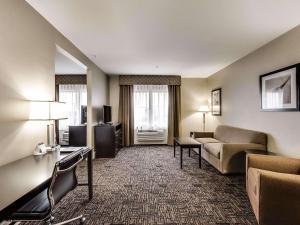 Posezení v ubytování Radisson Hotel Edmonton Airport