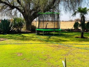 a green trampoline in a yard with a tree at Jobak Farm House in Bela-Bela