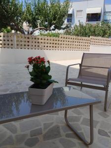um banco e uma planta em vaso sobre uma mesa em V&V Tourist Lease 2024 em Locorotondo