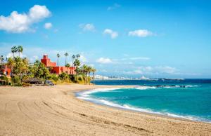 a sandy beach with palm trees and the ocean at Sahara Apt Central Benalmadena in Benalmádena