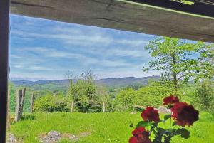 ein Fenster mit Blick auf ein Feld mit roten Blumen in der Unterkunft La Casa de la Vieja in Nava