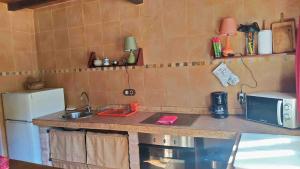 eine Küche mit einer Theke, einer Spüle und einer Mikrowelle in der Unterkunft La Casa de la Vieja in Nava + 13 Fotos