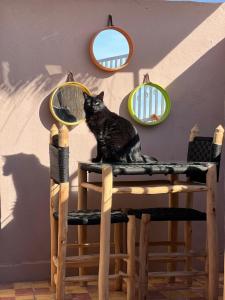Mynd úr myndasafni af Peekaboo Hostel í Marrakech