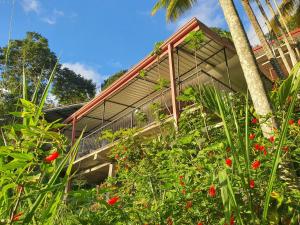 Puutarhaa majoituspaikan Sunburst view ulkopuolella