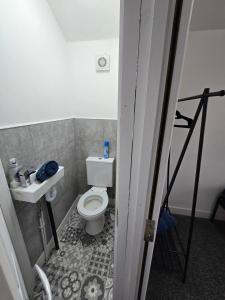 a small bathroom with a toilet and a sink at The Grand four bed getaway- Sleeps 9-free on street parking in Birmingham