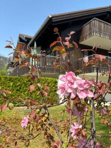 Taman di luar Bader Suites
