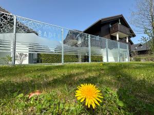 Taman di luar Bader Suites
