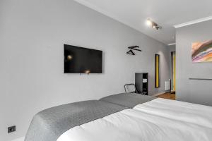 TV a/nebo společenská místnost v ubytování Hotel Aska
