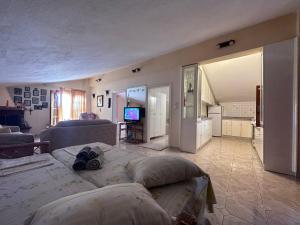 a large living room with a couch and a television at THE FLOWER APARTMENTS in Toroni