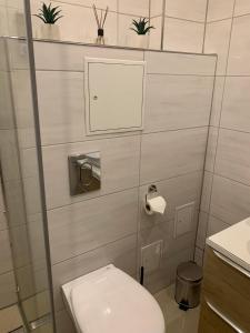 a small bathroom with a toilet and a sink at Apartments Mitte Messe und Zentrum Heistersteg in Nürnberg