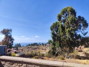 vista su un campo alberato e su case di Home in Taquile - Q'uñi wasi a Huillanopampa