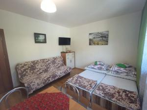TV a/nebo společenská místnost v ubytování Pokoje u Zajdy