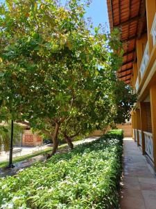 a tree next to a building with green bushes at Akirá Pousada in Aquiraz +41 photos