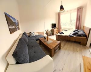 TV a/nebo společenská místnost v ubytování Apartmán u lanovky