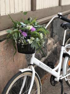 Cykling ved Villa Solgården eller i nærheden