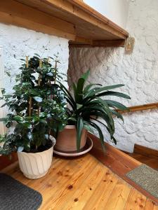 Fotografia z galérie ubytovania Biohof Gölly v destinácii Neumarkt in Steiermark