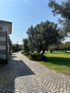 a cobblestone path with trees and a field at Residência das Louras in Viana do Castelo