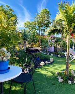 einen Grill in einem Garten mit Palmen in der Unterkunft Villa Daita 1 in Granadilla de Abona