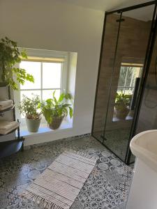 a bathroom with a mirror and potted plants at Penzion WIESEN in Meziměstí