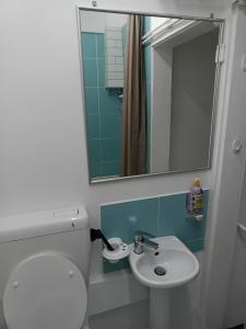 ein Badezimmer mit Toilette, Waschbecken und Spiegel in der Unterkunft Amore 2 in Timişoara