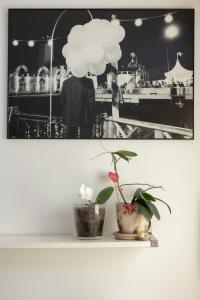 Fotografie z fotogalerie ubytování Casa di Simone v destinaci Scandicci