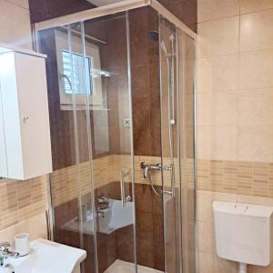 a bathroom with a shower with a toilet and a sink at Apartments Pletikosa in Brodarica +33 photos