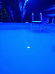 Πισίνα στο ή κοντά στο Appartement charmant à Alès | 62 m² | Piscine privée