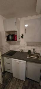 Köök või kööginurk majutusasutuses Studio charmant à La Trinité avec piscine partagée - 24 m²