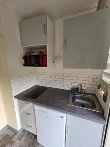 Köök või kööginurk majutusasutuses Studio charmant à La Trinité avec piscine partagée - 24 m²