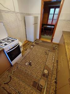 a kitchen with a stove and a refrigerator at Guesthouse Regina in Yaremche +23 photos