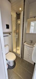 a bathroom with a toilet and a shower and a sink at Studio 30m plage - Marina 5 - 31 allée des pinons - 1-1 in Saint-Jean-de-Monts