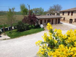 The building in which a vidéki vendégházakat is located