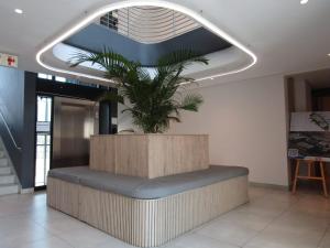 a potted plant sitting on a bench in a lobby at Sandton Gate Luxury 2 Bed Apartment - JOHANNESBURG in Johannesburg +14 photos