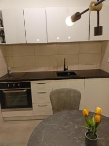 Köök või kööginurk majutusasutuses Apartman Zoja