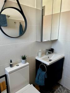 a bathroom with a toilet and a sink and a mirror at Détente au soleil in Sorède