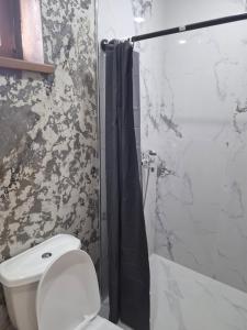 a bathroom with a white toilet and a shower at Luiza Guest House in Areni