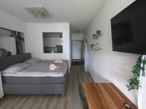 a small living room with a bed and a table at Apartment mit Seeblick & Seezugang in Villach
