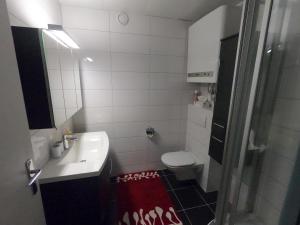 a small bathroom with a sink and a toilet at Apartment mit Seeblick & Seezugang in Villach