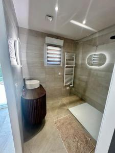 a bathroom with a shower with a toilet and a sink at Maison neuve, cadre apaisant,jacuzzi et piscine in Planioles +22 photos