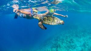 Ospiti di Kuda Vilu, Mathiveri, Maldives