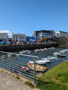 a bunch of boats are docked in a harbor at Port Lush in Portrush