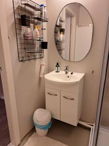 a bathroom with a sink and a mirror at Privat leilighet på gård med badstue og nordlys in Narvik